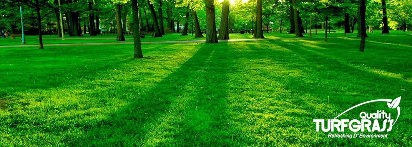 Welcome to Quality Turfgrass !