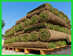 Turfexportscompressed