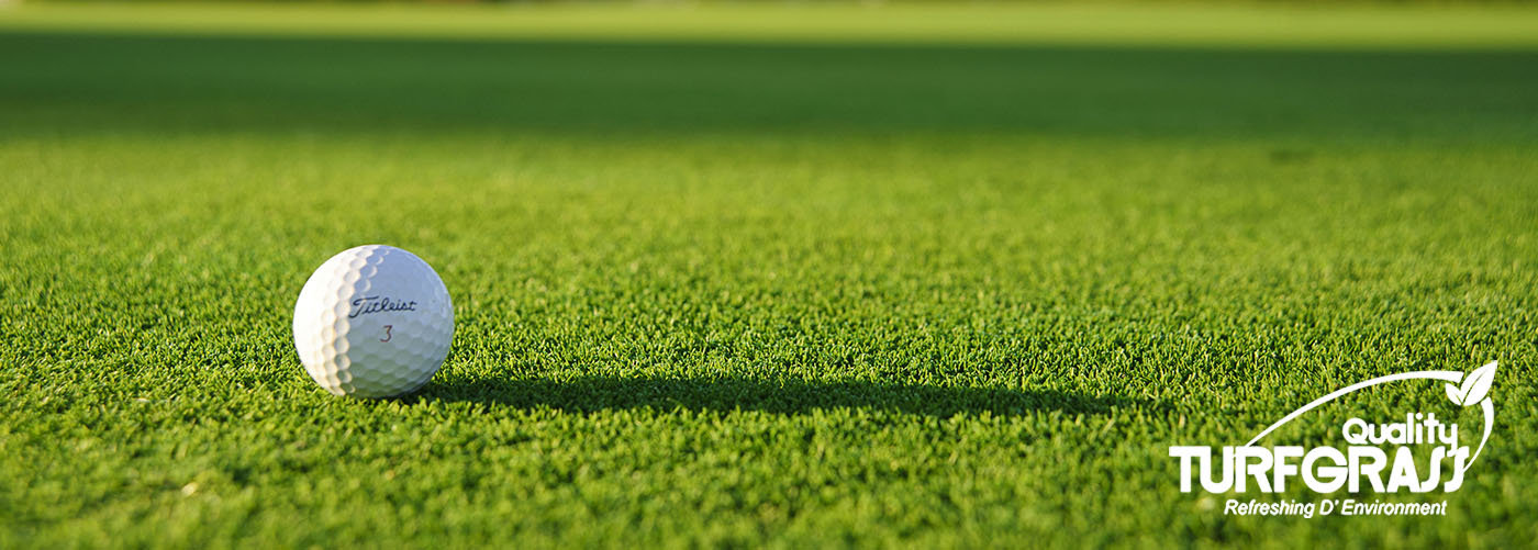 Landscape maintenance & renovation