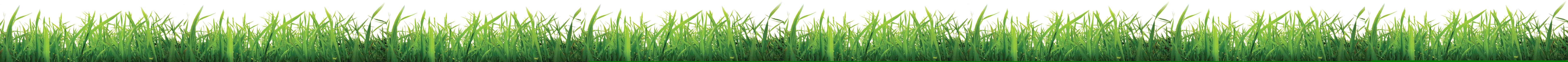  turf grass specialist